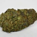 $200 QP Bundle *LIMITED*