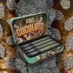 STIIIZY
- COCOLATO - 3.5G STIIIZY Exotics Preroll 4 joints | Hybrid
