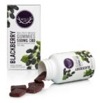 WYLD
Blackberry CBD Gummies | 20pk | 25mg/ea