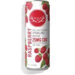 WYLD | Raspberry CBD Sparkling Water | Carbonated | 25mg | 12 fl oz