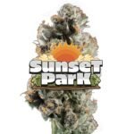 Jeeter | Sunset Park | Red Label Big Buds | 4g indica