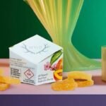 📦 The Ultimate Wyld "Day-to-Night" Combo Bundle