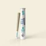 Traditional | Milk Censored | Joint | 1g hybrid