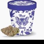Cookies That Badu – | sativa 3.5g
