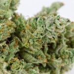 Gorilla Glue (GG4) Flower – 28g (1 Ounce) hybrid